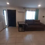 Tres Chihuahuas 2