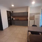 Tres Chihuahuas 2